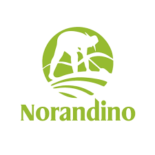 Norandino